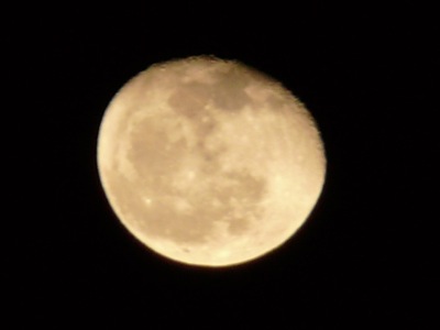 f0050651_203724100.jpg