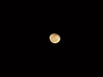 f0050651_2037267.jpg