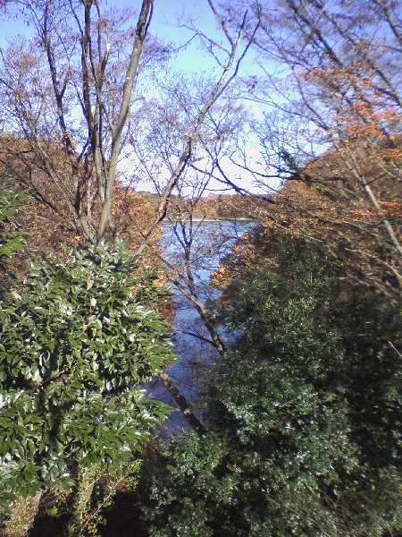c0055552_2264883.jpg