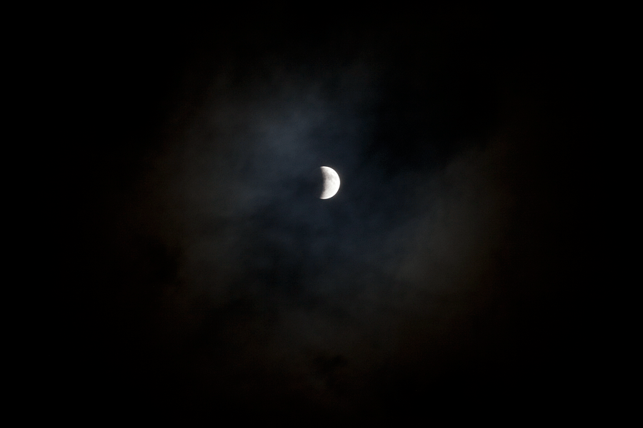 f0054366_18452588.gif