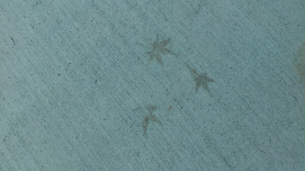 d0249867_23483681.jpg