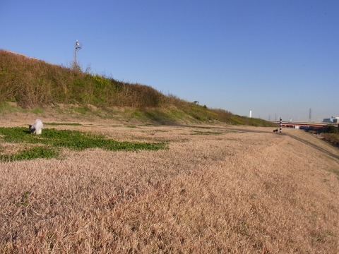 e0059267_13175160.jpg