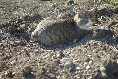 e0172372_222441.jpg