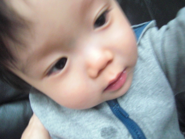 f0200773_1151299.jpg