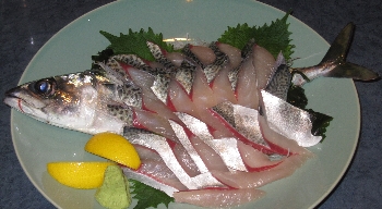 f0003283_193151.jpg