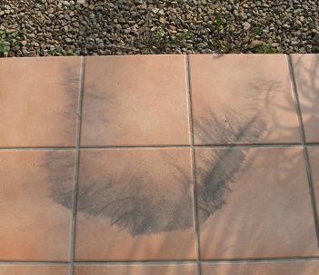 e0130185_1050085.jpg