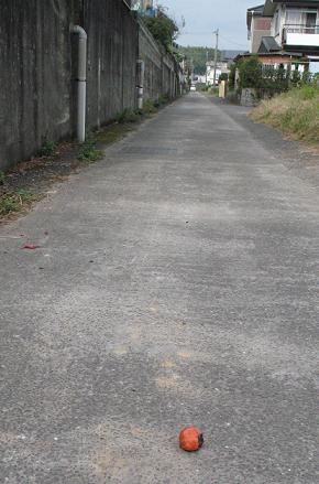e0130185_14393784.jpg