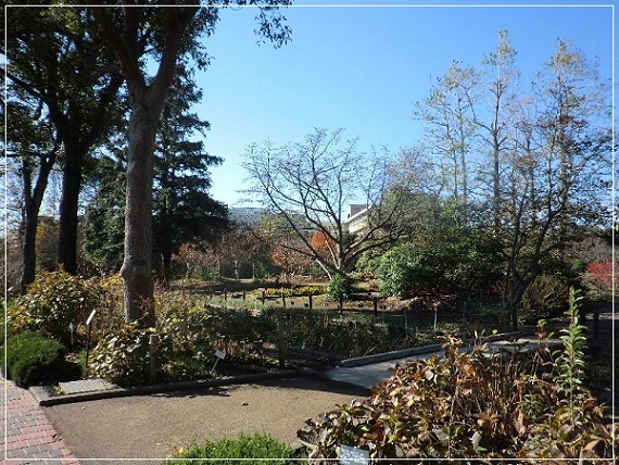 e0143690_1022241.jpg