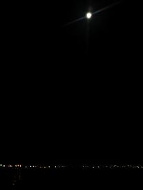 f0069890_15362196.jpg
