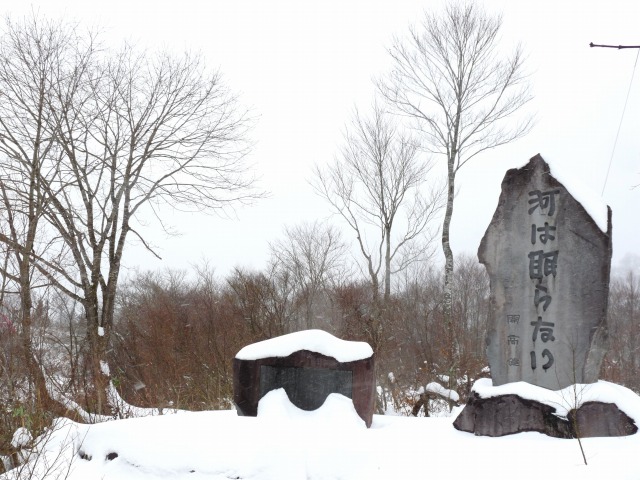 e0202393_6554916.jpg