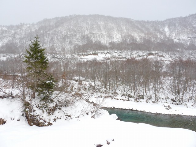 e0202393_6563542.jpg