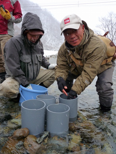 e0202393_701829.jpg