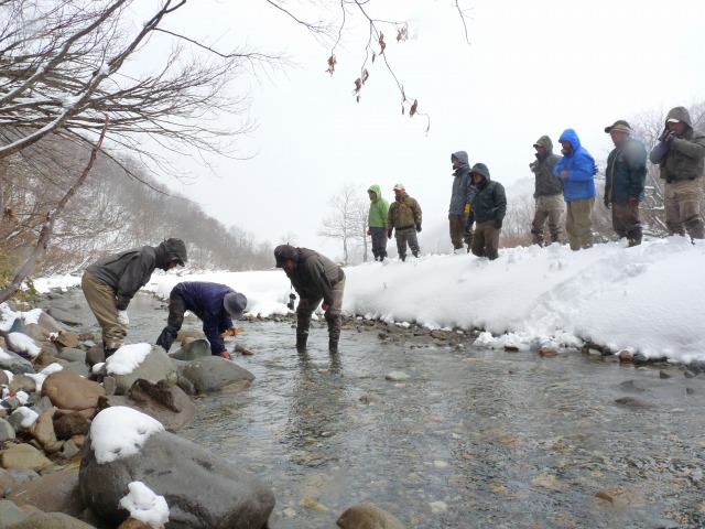 e0202393_721734.jpg