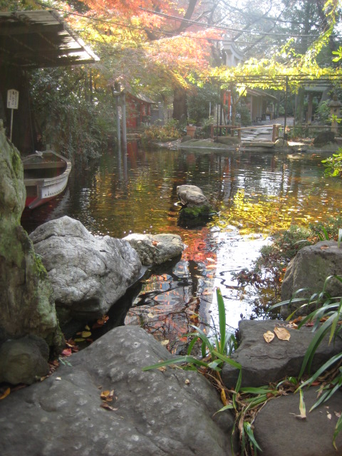 a0193698_19435379.jpg