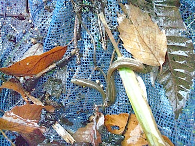 f0082402_201081.jpg