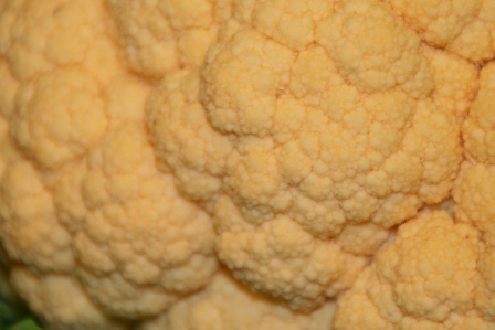 c0128303_22274669.jpg