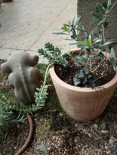 e0234004_20141196.jpg
