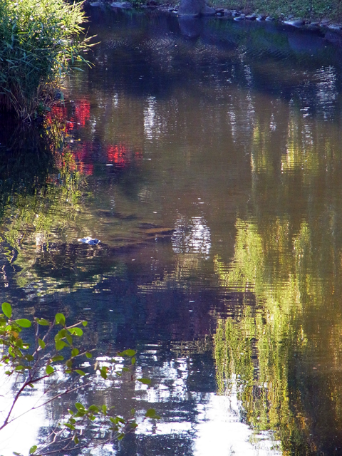 e0083517_15554143.jpg