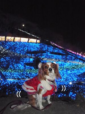f0214121_11123730.jpg