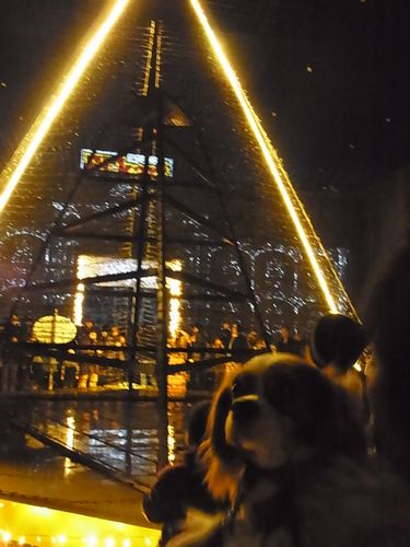 f0214121_11242131.jpg