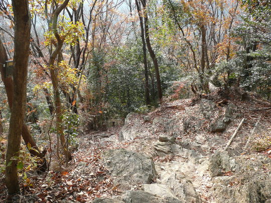 c0009528_22382454.jpg