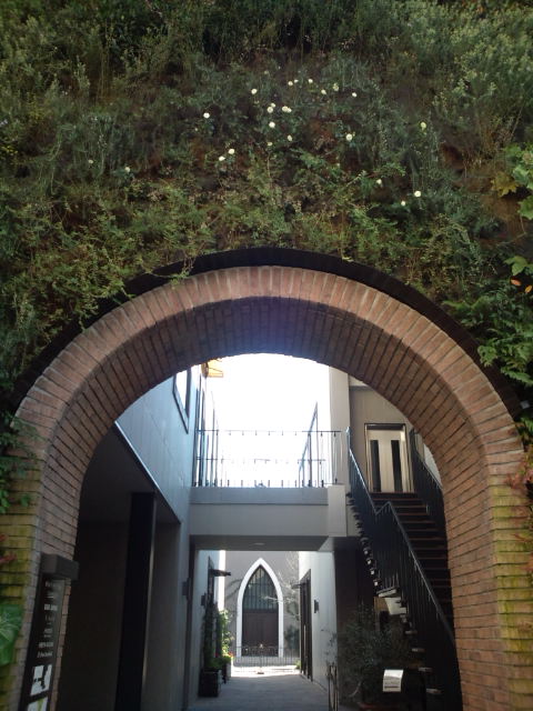 d0077029_82035.jpg