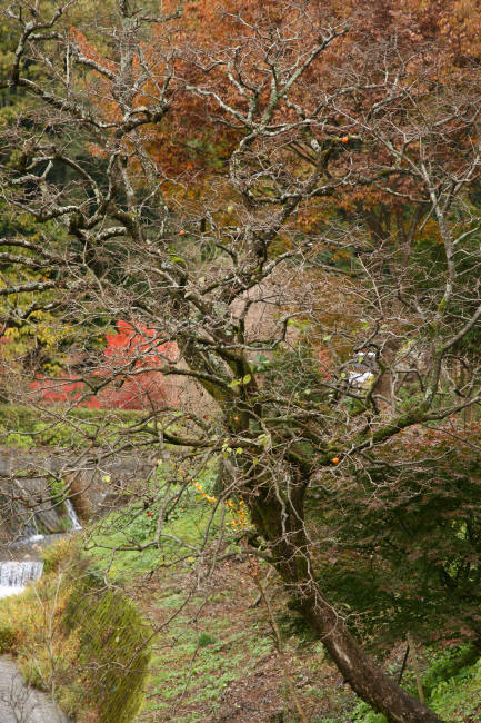 f0017530_2115386.jpg