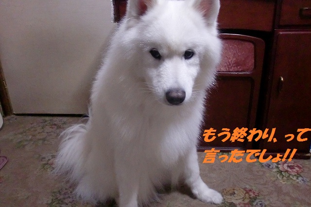 e0196135_021348.jpg