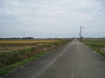 c0077338_2285896.jpg