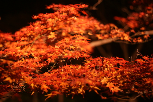 f0150047_23281038.jpg