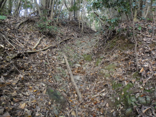 c0179351_2114769.jpg
