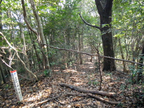 c0179351_21211483.jpg
