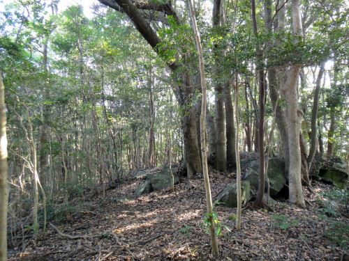 c0179351_21223283.jpg