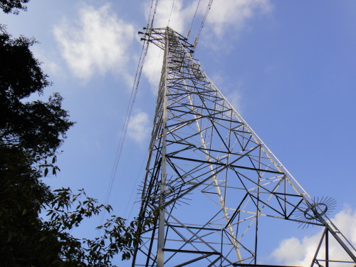 c0179351_2123281.jpg