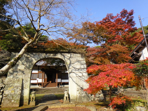 c0179351_2175669.jpg