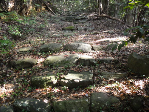 c0179351_2184114.jpg
