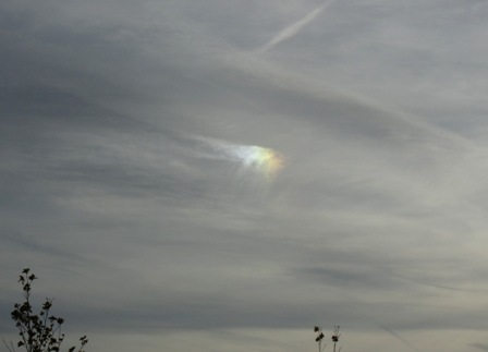 b0173754_8391828.jpg