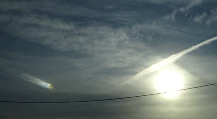 b0173754_8393337.jpg
