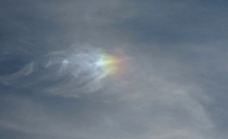 b0173754_8424152.jpg