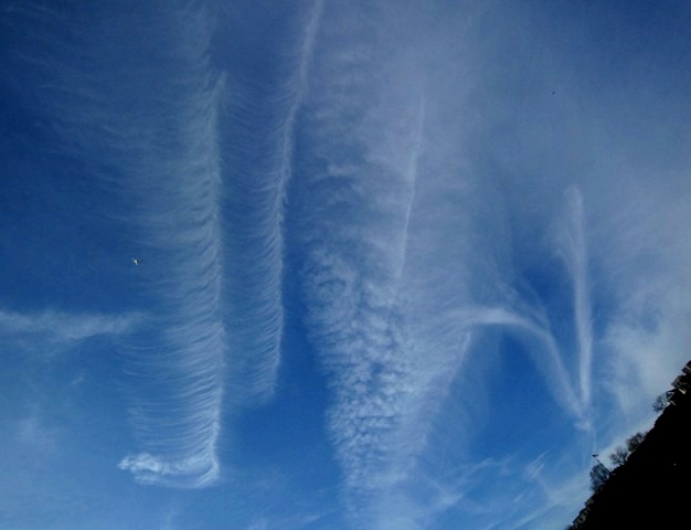 b0173754_8425983.jpg