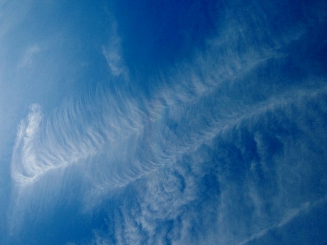 b0173754_8432994.jpg