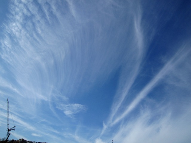 b0173754_843395.jpg