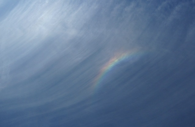 b0173754_8435186.jpg