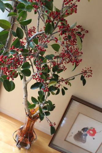 c0153259_1619921.jpg