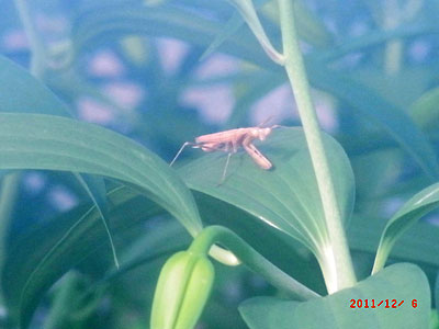 e0097770_024797.jpg