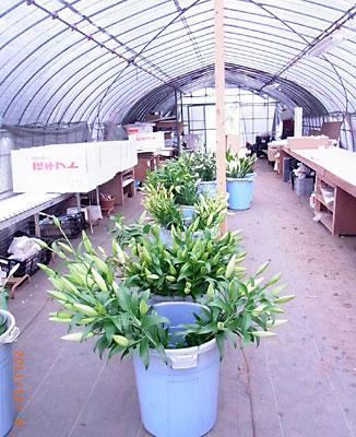 e0097770_028940.jpg