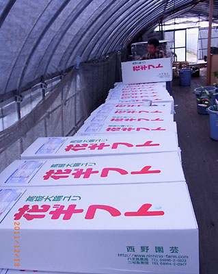 e0097770_161364.jpg