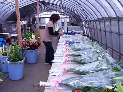 e0097770_16146.jpg