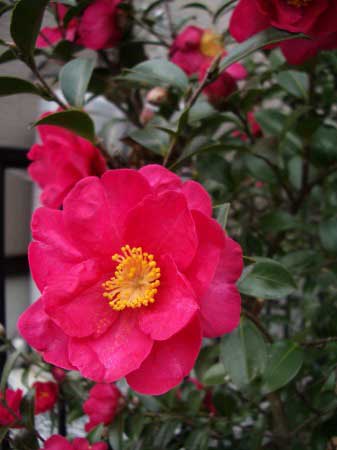 c0045882_21455639.jpg
