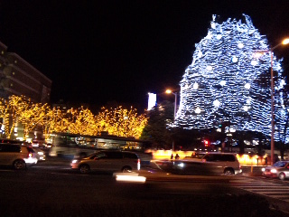 c0096582_22463037.jpg